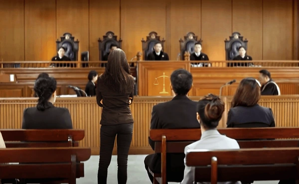 Legal Chamber 3